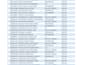 perform accurate data entry and insightful data analysis